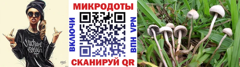 Псилоцибиновые грибы Psilocybine cubensis  кракен   Яхрома 