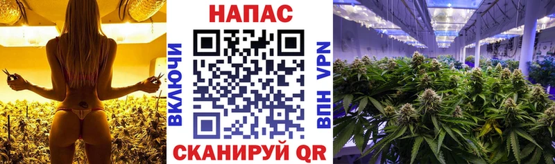 Бошки Шишки Amnesia  продажа наркотиков  blacksprut онион  Яхрома 